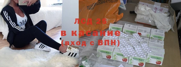 ПСИЛОЦИБИНОВЫЕ ГРИБЫ Верхнеуральск