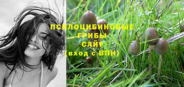 ПСИЛОЦИБИНОВЫЕ ГРИБЫ Верхнеуральск