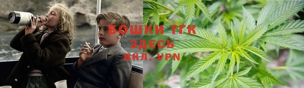 ПСИЛОЦИБИНОВЫЕ ГРИБЫ Верхнеуральск