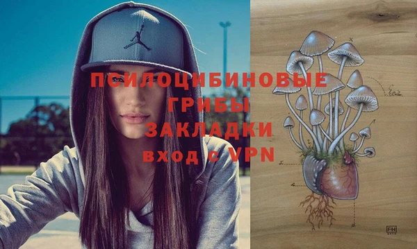 СК Верея