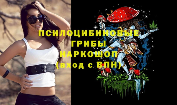 ешки Верхний Тагил
