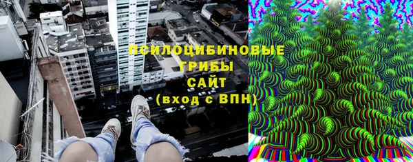 ешки Верхний Тагил