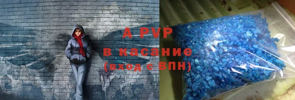 крисы Тында